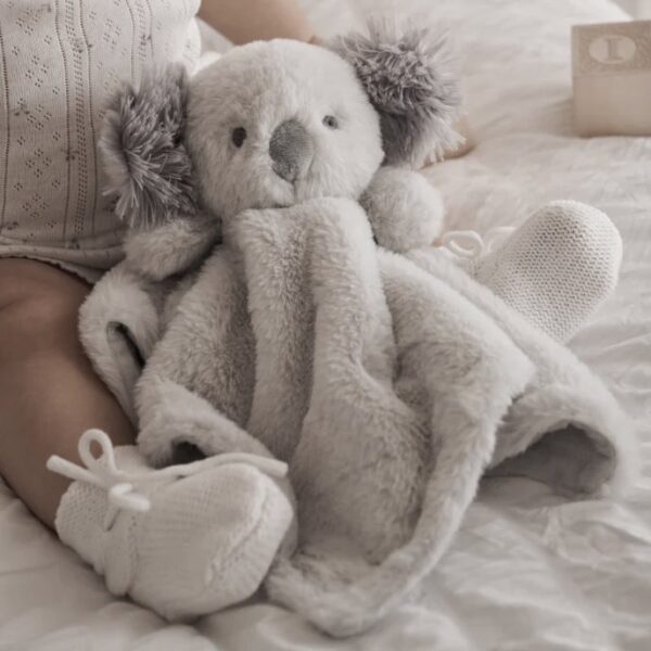 Child With Elegant Baby Koala Bear Blankie