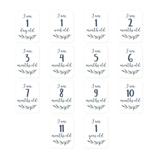 Lulujo Hello World Milestone Blanket Cards