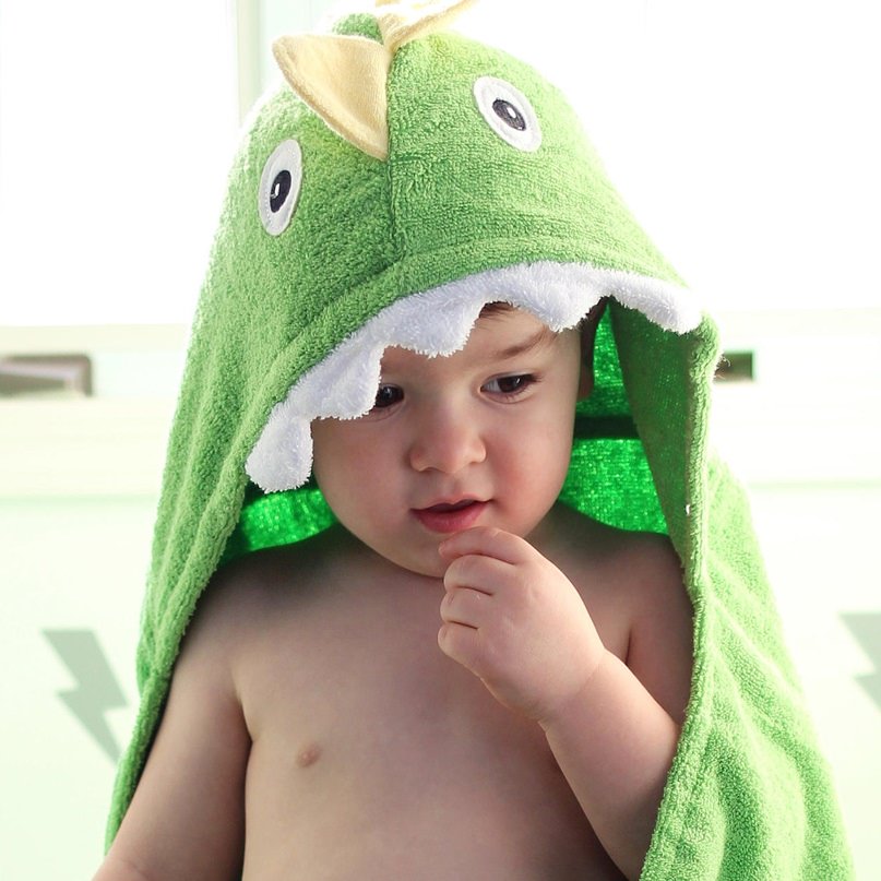 dinosaur hooded towels