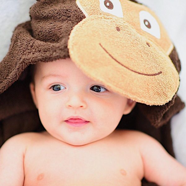 Yikes Twins Monkey Hooded Towel